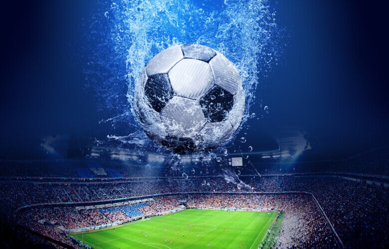 了他無可置 了他無可置